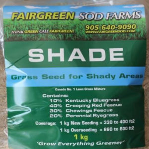 Fairgreen Sod Farms Shade Grass Seed